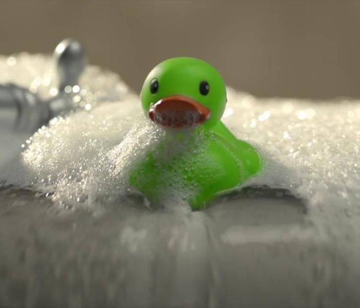 SERVPRO Green Rubber Duck in water with suds